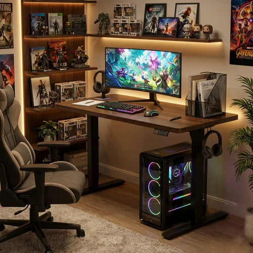 Electric height-adjustable standing desk with dark walnut wood top